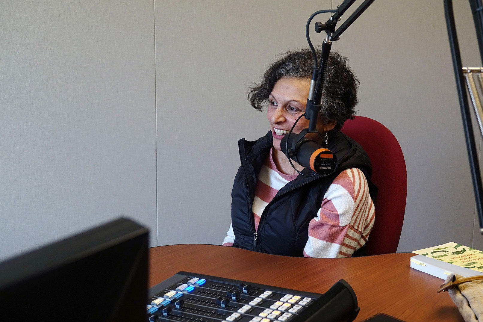 Nina Mukerjee Furstenau talks with Vox staff in the studio